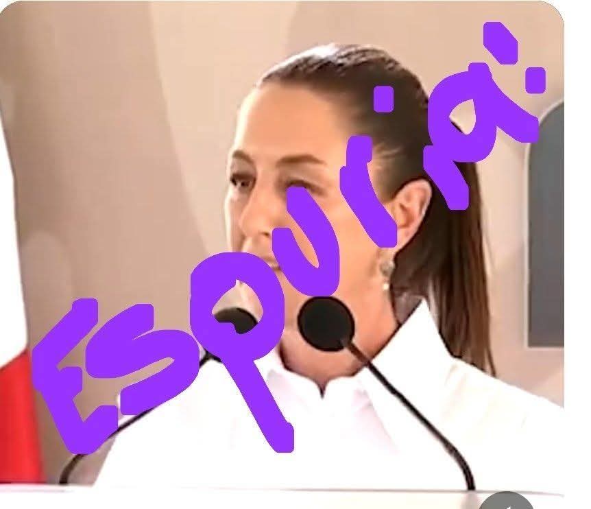<a href="/adrifadi/">Adriana María</a> <a href="/Orteroca/">Roberto</a> <a href="/Claudiashein/">Claudia Sheinbaum Pardo</a> <a href="/INEMexico/">@INEMexico</a> #FueronFRAUDES 
#tadeiCómpliceDeLosFRAUDES 
#TEPJFCorruptoYTraidor