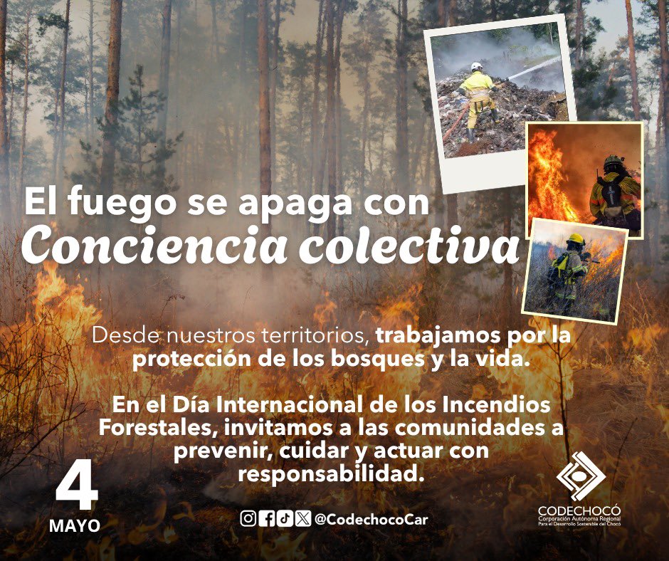 CODECHOCÓ tweet media