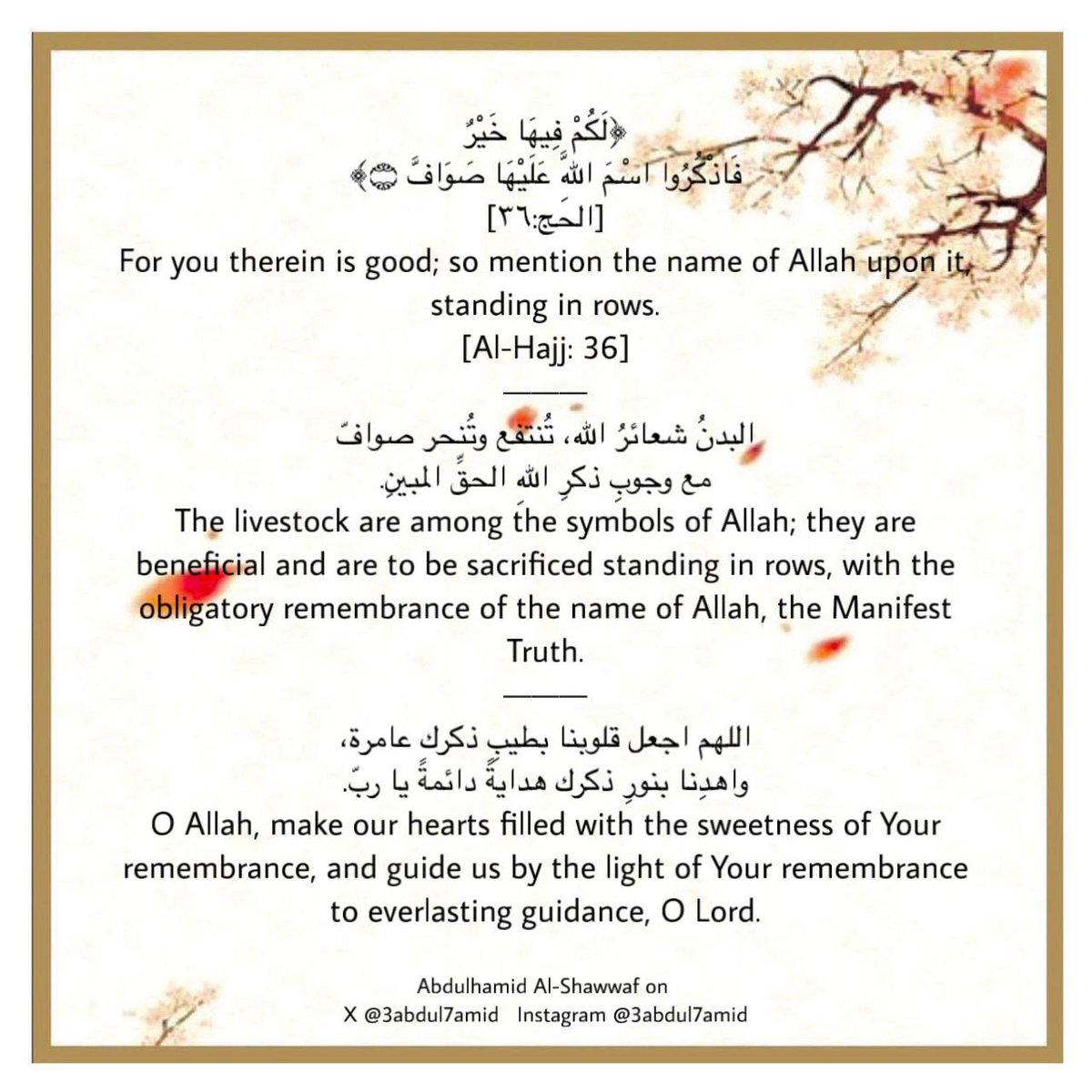 Abdulhamid Shawwaf tweet media