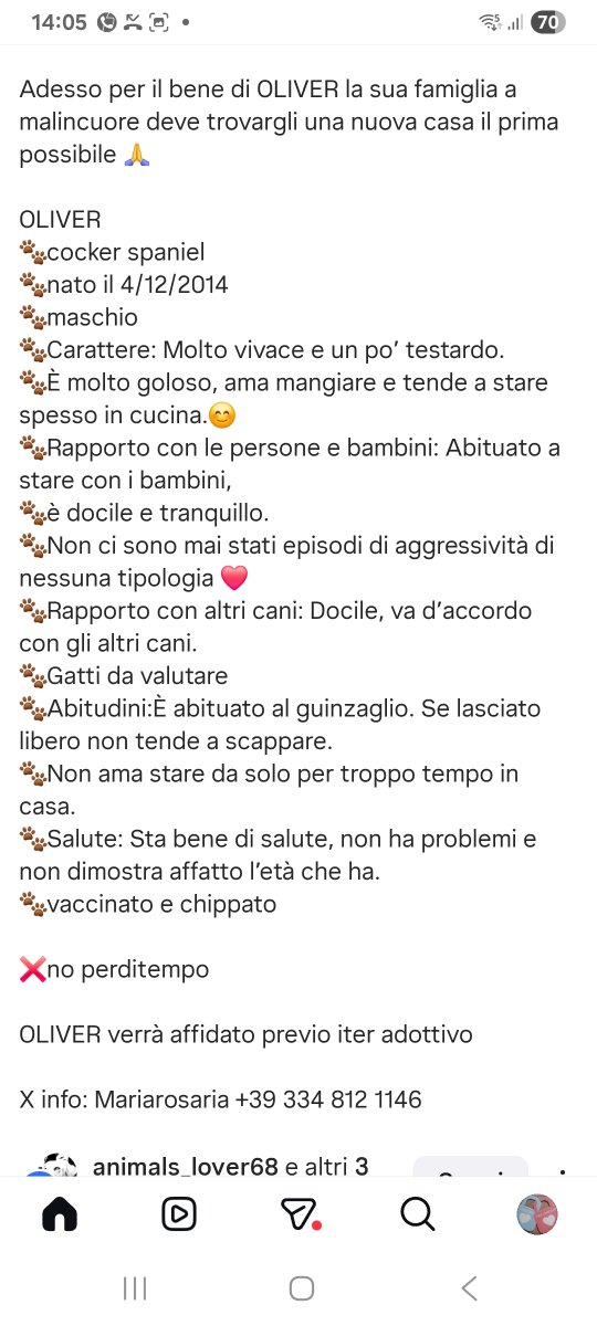 Annina tweet media