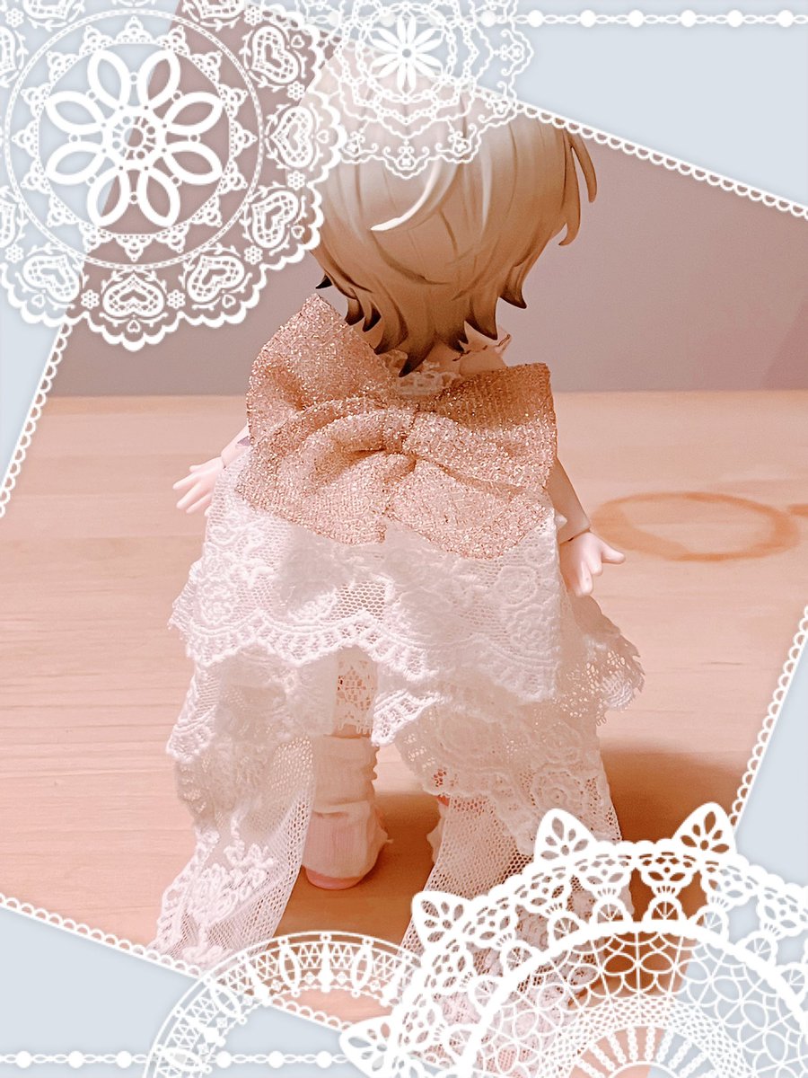 今日のぽんちゃん tweet media