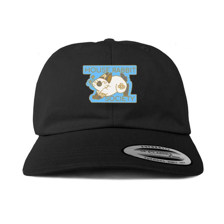 HouseRabbit's tweet photo. The official HRS Bonfire store is live! Show your love for rabbits while supporting our work. ❤️🐇

Our first collection celebrates the joy rabbits bring &amp; the impact of community, with a hat, notebook, tote bag &amp; t-shirt in a variety of styles.

Shop now: https://t.co/DvNium345w https://t.co/VQSRwrUZSF
