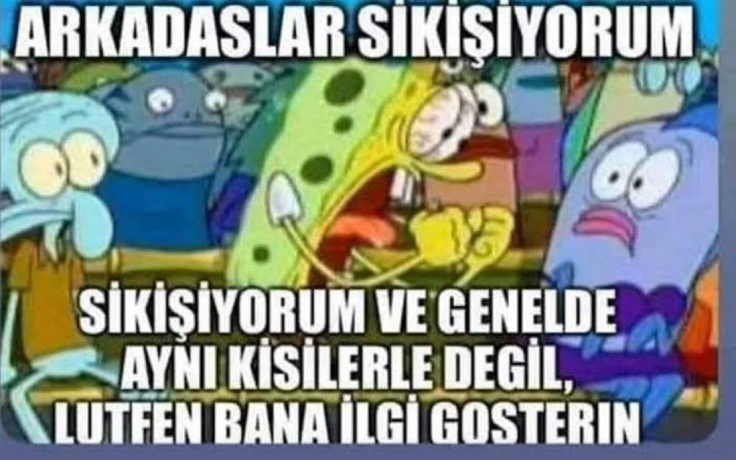 spartalı tweet media