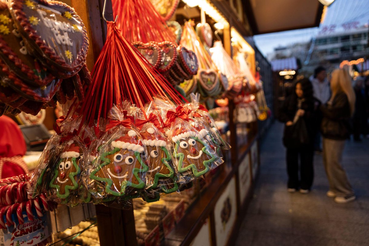 GlobalDWeds's tweet photo. 🎄 Christmas Markets of Poland, Prague &amp; Germany
📅 Nov 30 – Dec 7, 2026
💰 From $3,625 CAD pp (flights not included)
Explore Kraków, Wrocław, Prague, Dresden &amp; Berlin ✨
Festive markets, mulled wine &amp; holiday magic 🎁
DM for alt dates or USD pricing
🌐 https://t.co/th93UiOQCX https://t.co/i8bcVACQcz