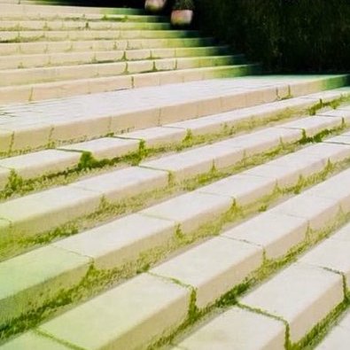 Zi_zy 🍃 tweet media