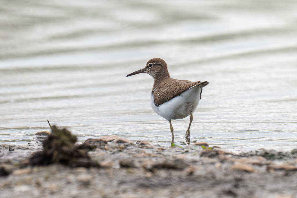Steve Liptrot Photography tweet media