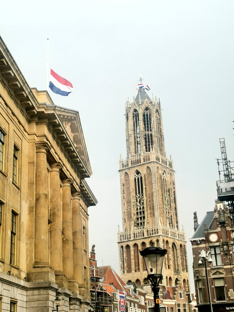 Anne Fleur Dekker tweet media