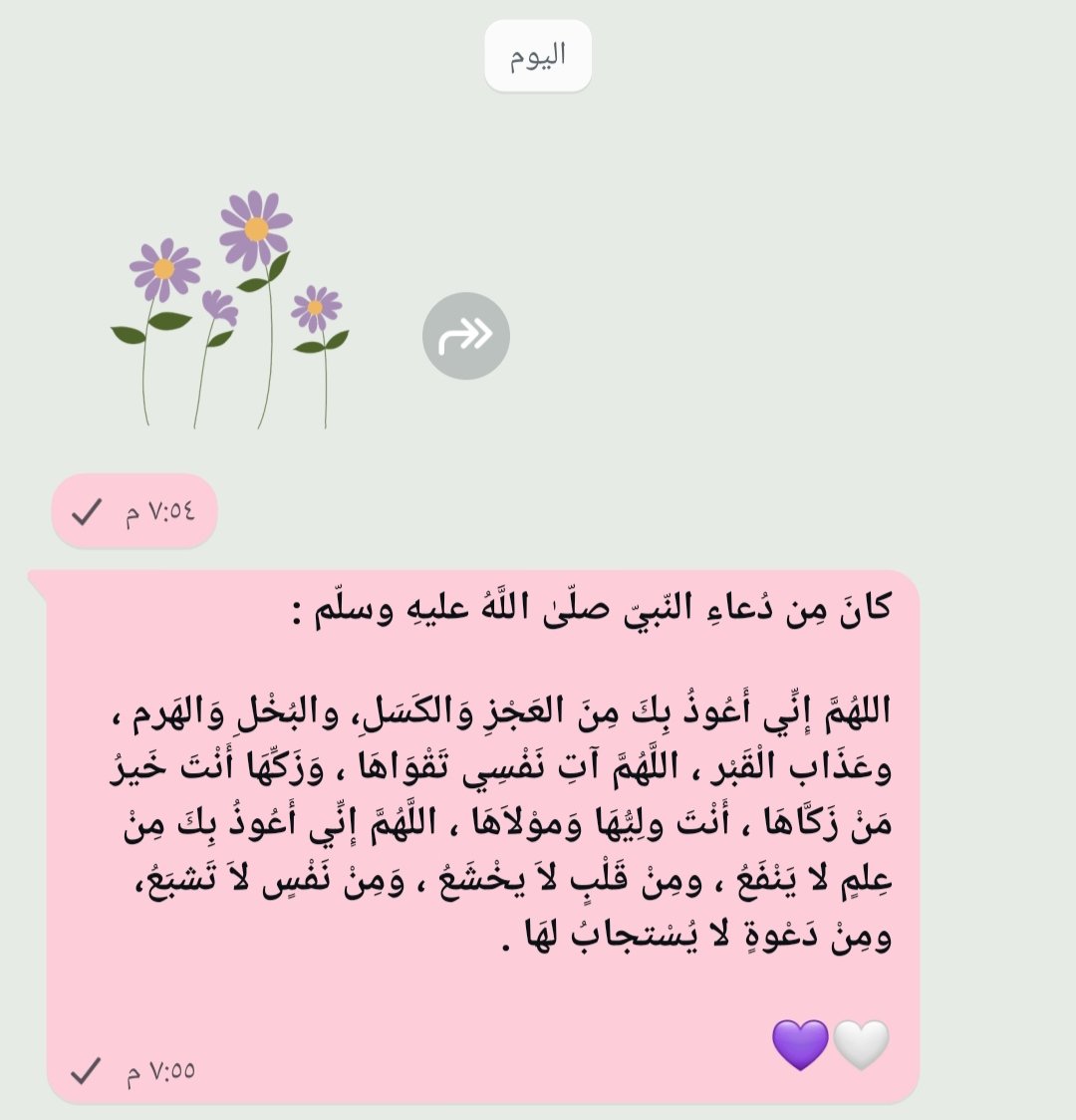رُفَيدَة الشَّرَفي tweet media