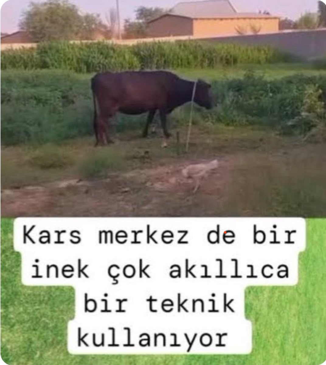 Hz.Sena tweet media
