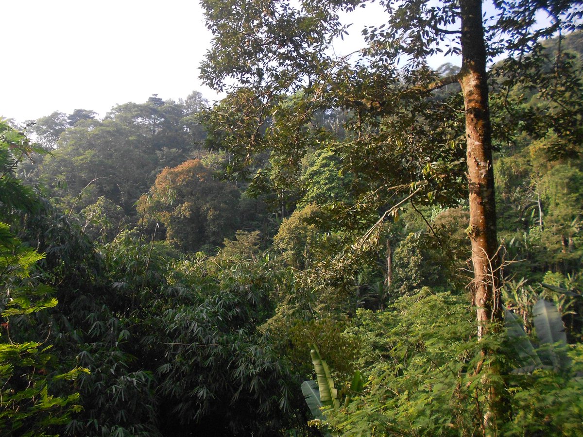 livenfallen's tweet photo. maaf etmin sibuk ke gunung (bulan ini mw ada lapang lagi) https://t.co/JBEM7TqgOo