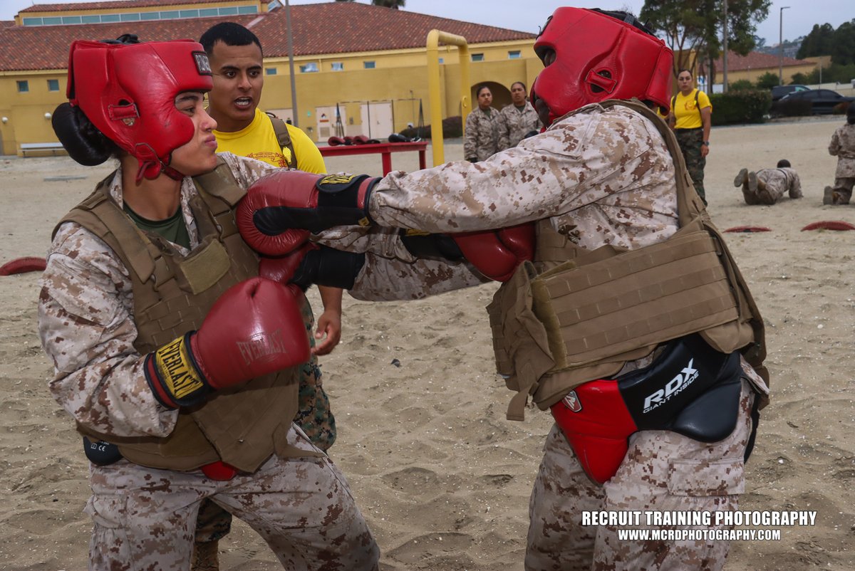 CorporalStock's tweet photo. Golf Company Body Sparring #May222026Golf #Marines #bootcamp #Training #MVP https://t.co/5RkSpDCltJ