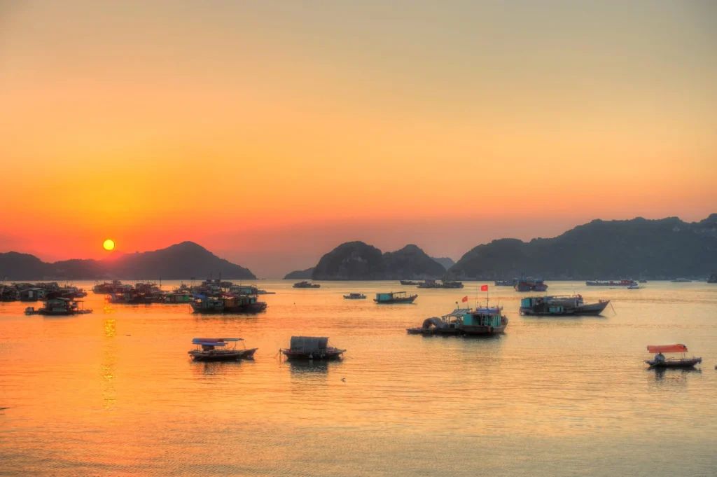 elPachinko's tweet photo. Viajar a Vietnam en septiembre: clima, mejores destinos y consejos en @mundo_nomada 

https://t.co/oshzVclkCF https://t.co/3nBvMxmLFR