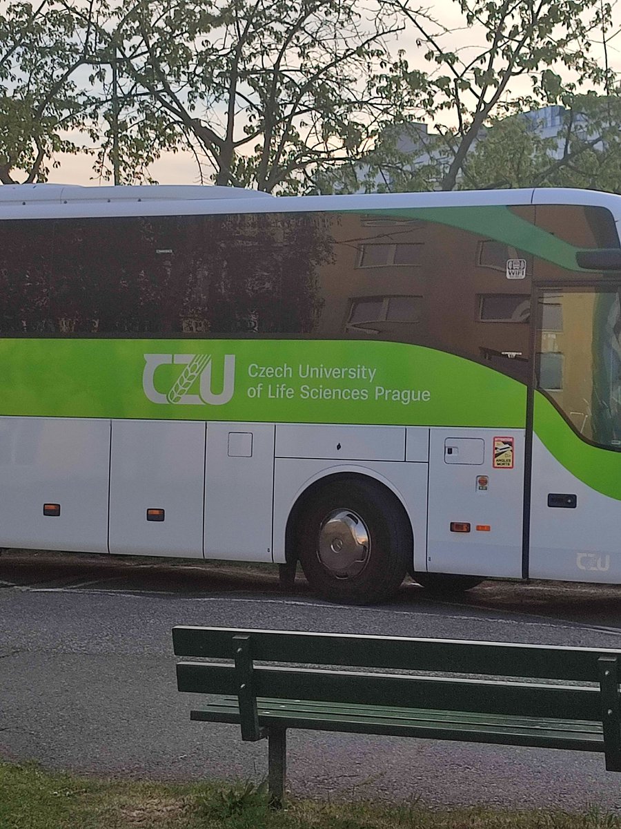 co tu chce hnojbus