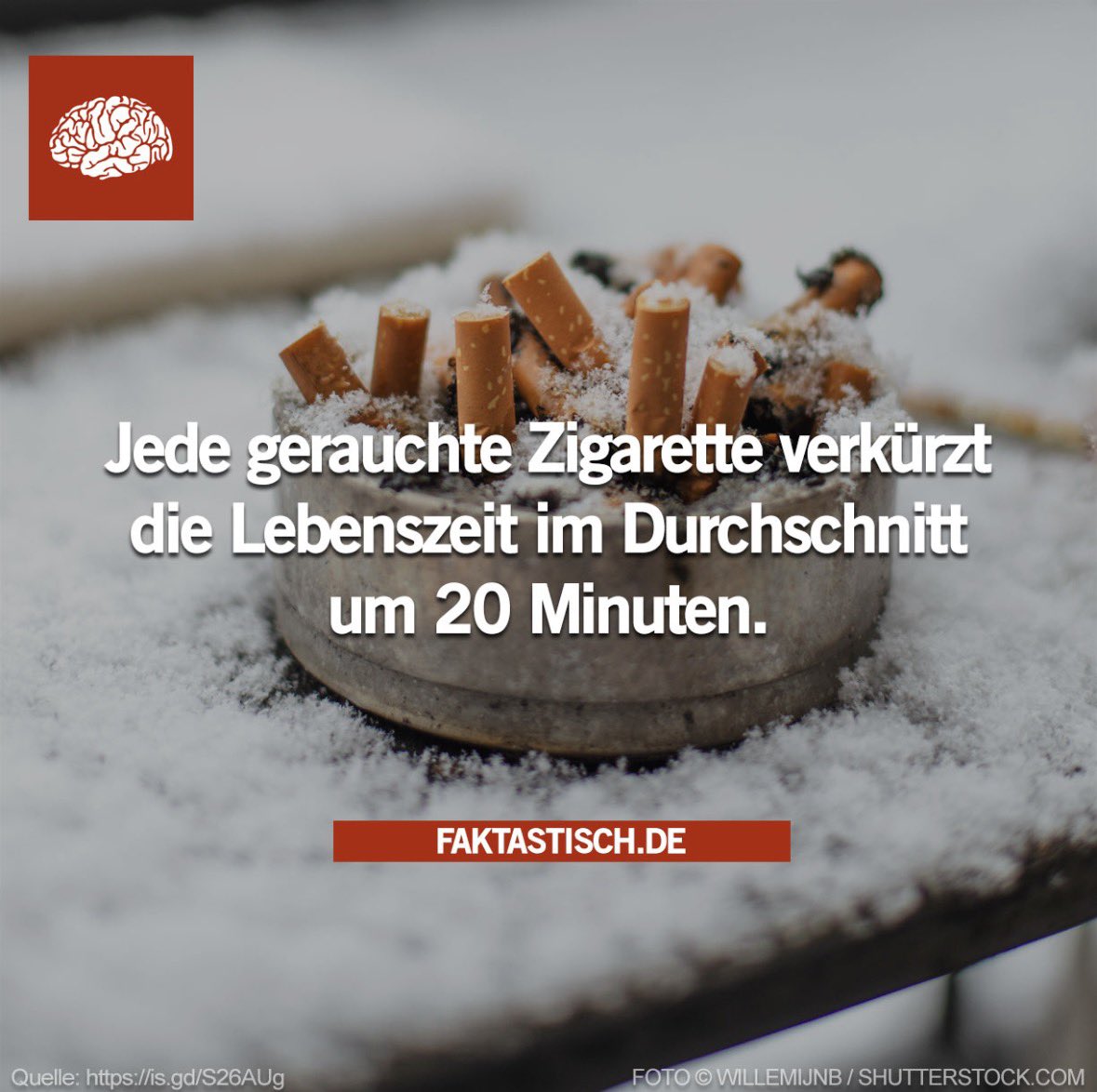 sech tweet media