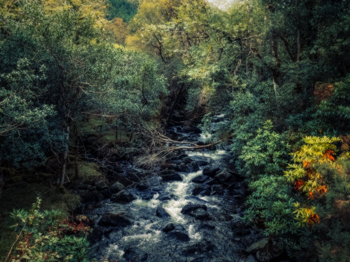 artofseanmurphy's tweet photo. Moments in Narnia https://t.co/l90Dy3GQ2d