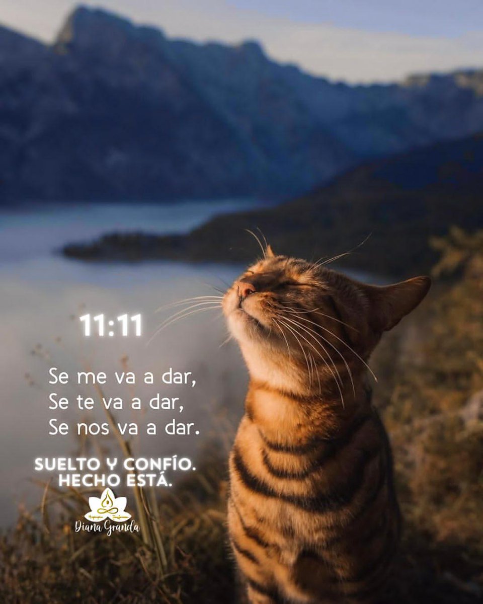 ALONSO_PINEDAA's tweet photo. 11:11 Decretado Fortuna hoy y siempre, por que me lo merezco y por que es para mi https://t.co/SJcsmDyTuh