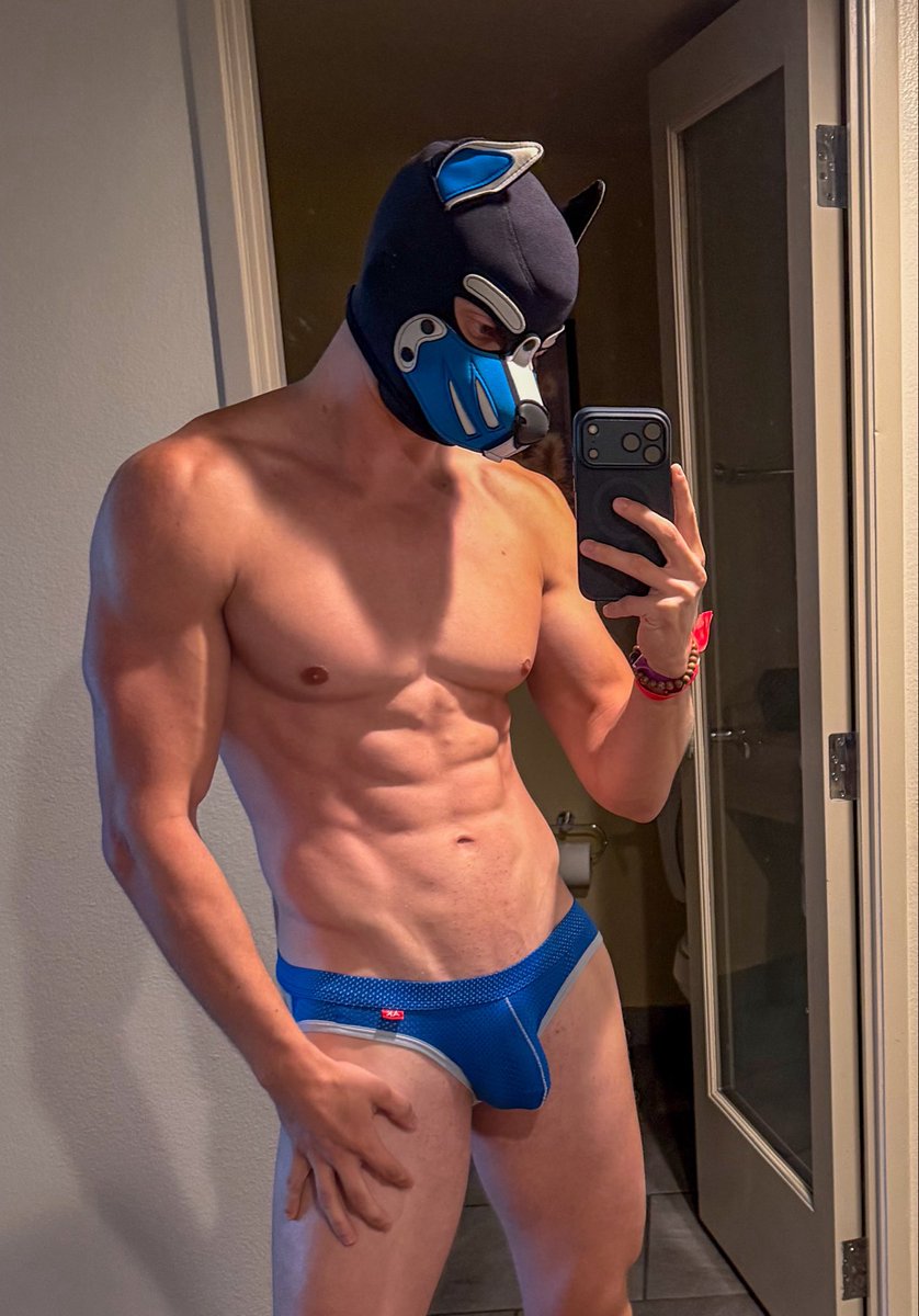 Raizu TheFox tweet media