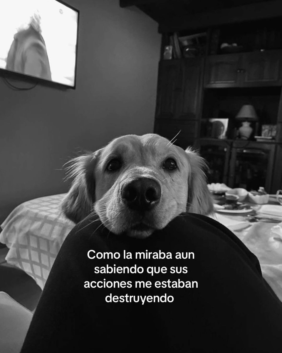 ໊ tweet media