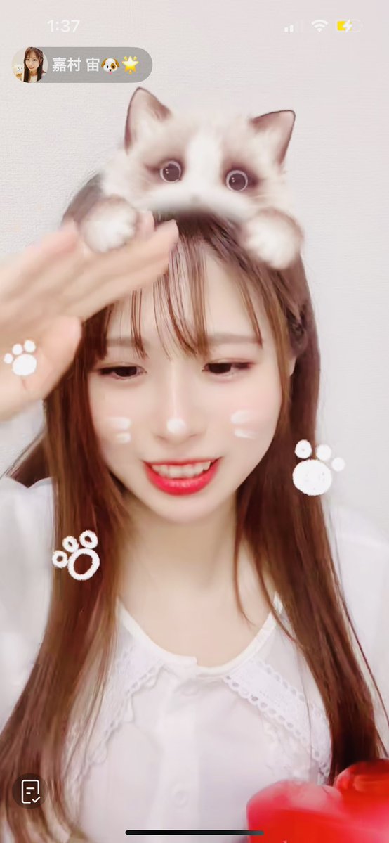 🐶ユキ🌟 tweet media