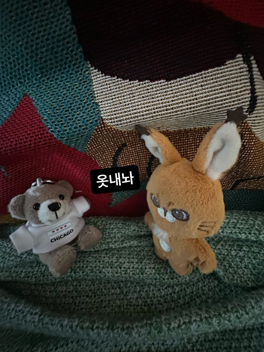 우쥬쟌 tweet media