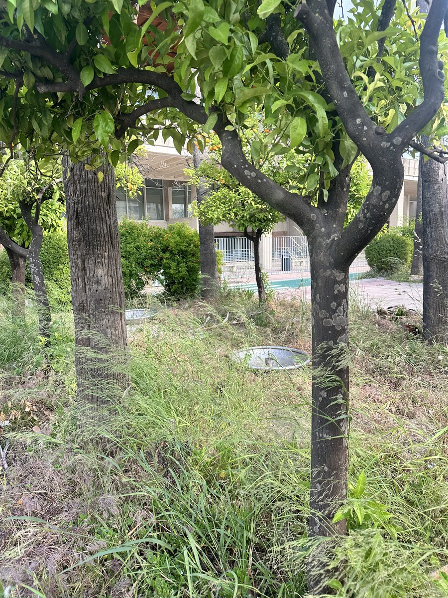 sevillamet's tweet photo. Hola @eveliarincon ¿hay algún plan para la zona delantera del Pabellón de la Navegación? Ahora que los terrenos ya son del ayuntamiento, no estaría mal mantener el jardín que hay en esa zona https://t.co/7mTf1YizPG