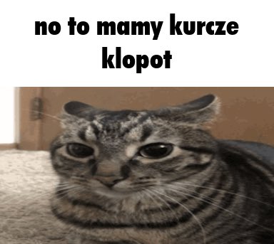 blazerekk tweet media