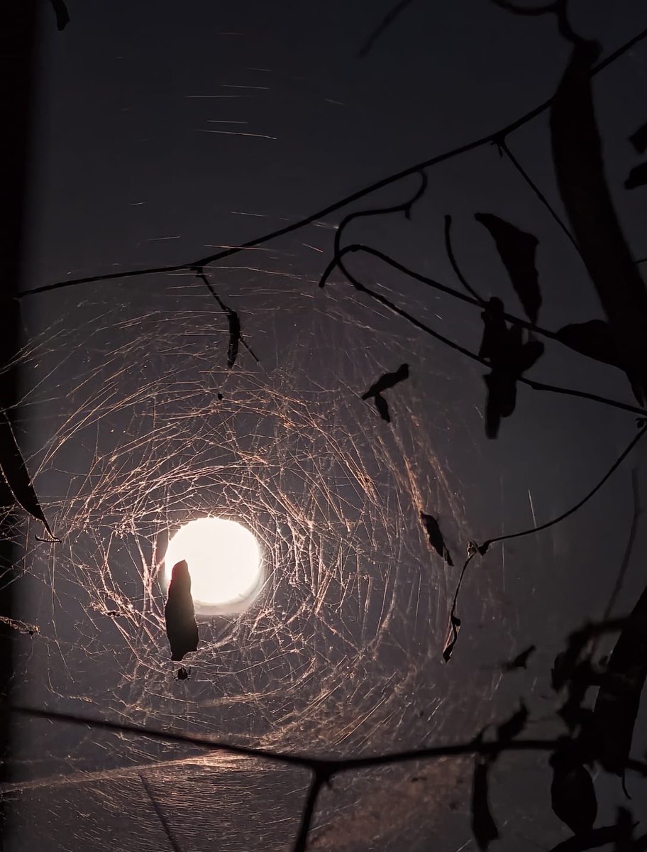 yagnesh83's tweet image. #Moon