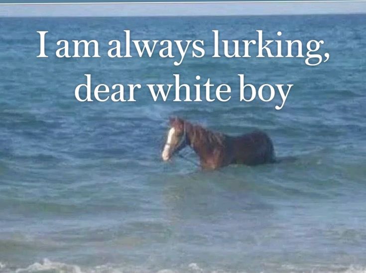 This is how it feels having someone’s notifications on