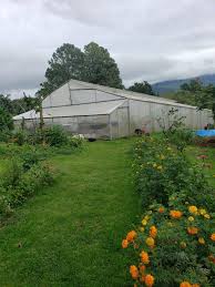 SunDropCanita's tweet photo. Growing fresh, organic goodness right in the heart of nature. 🌿🌼 Explore our sustainable greenhouses and vibrant gardens at Sun Drop Resort, Canita. From farm to table, we keep it green! ✨🍃
#SunDropResort #Canita #OrganicLiving https://t.co/xL3pNDUAS7