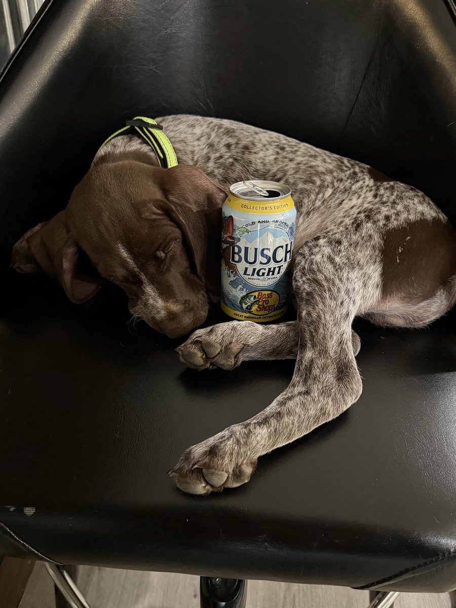 Bwright0324's tweet photo. Relaxing after a long day of training with an ice cold @BuschBeer !!!! https://t.co/JwPyTiDBEG