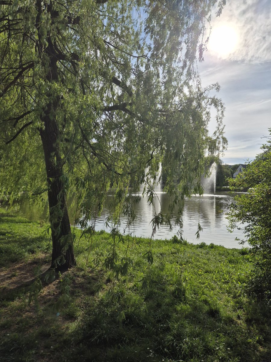 Glorious weather 🇵🇱❤️☀️