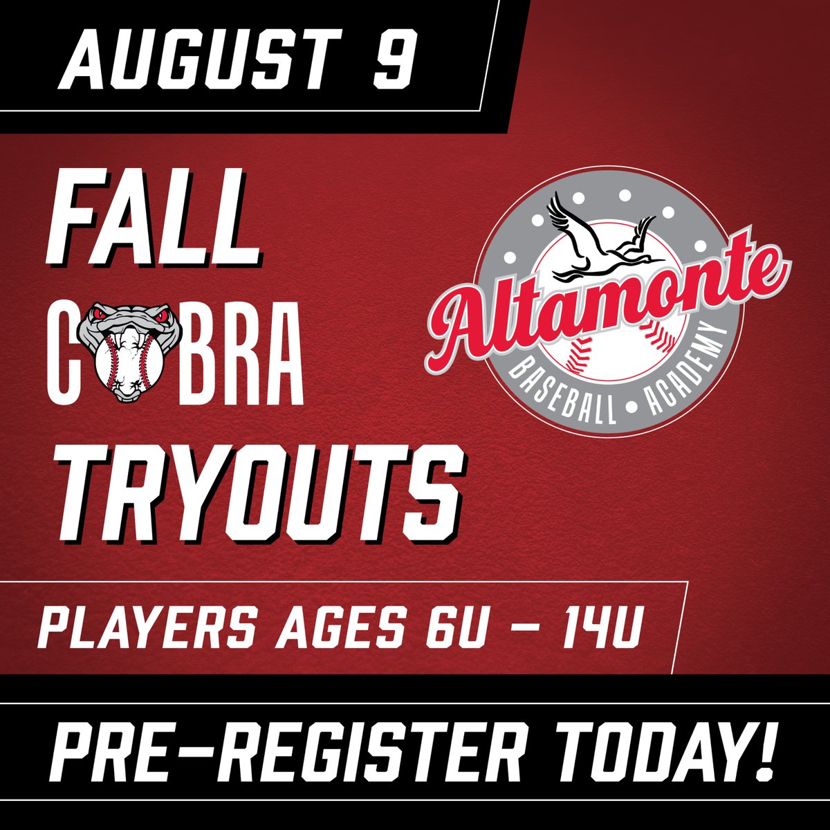 AltamonteBaseball tweet media