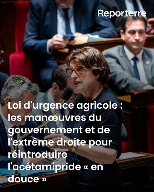 Jacques Renardiere tweet media