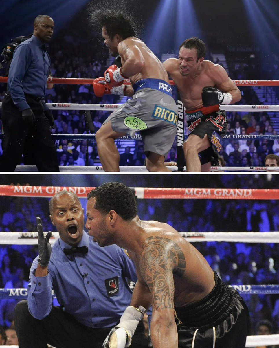 World Boxing Council tweet media
