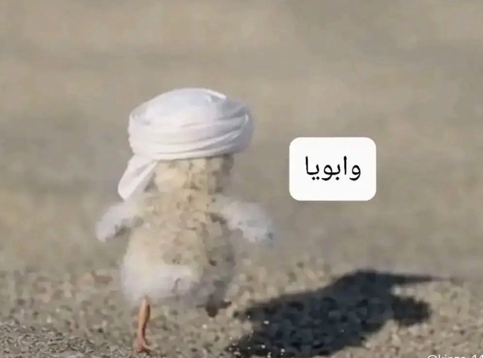 راعـــي الفله ☞ tweet media
