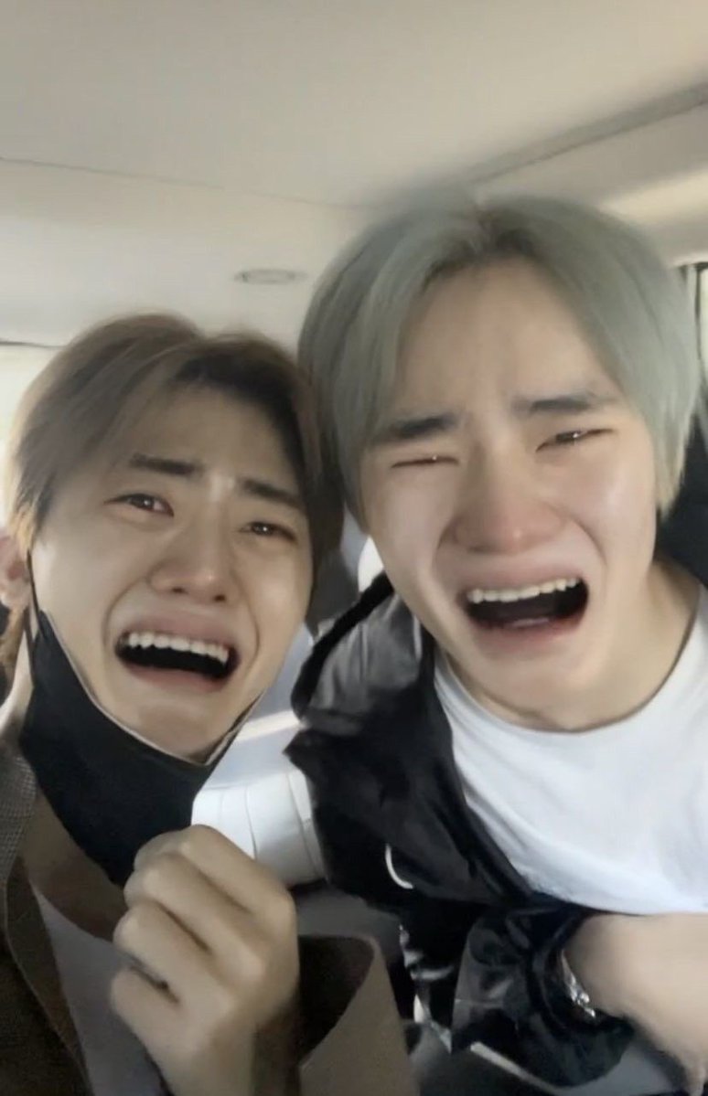 쫑냥 tweet media