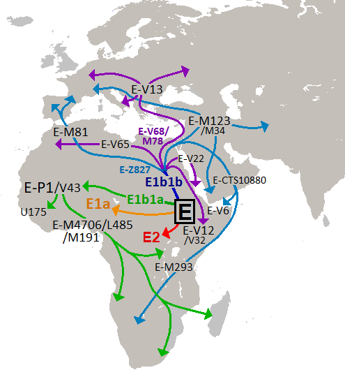 12156565's tweet image. I spent years trying to find out if the Israelites were a whyte people &amp;amp; couldnt find concrete evidence that made sense.
I could find a tremendous amount of evidence that the bible &amp;amp; modern science absolutely support the Biblical Israel was Black. 
#Christianity #Church #Christ