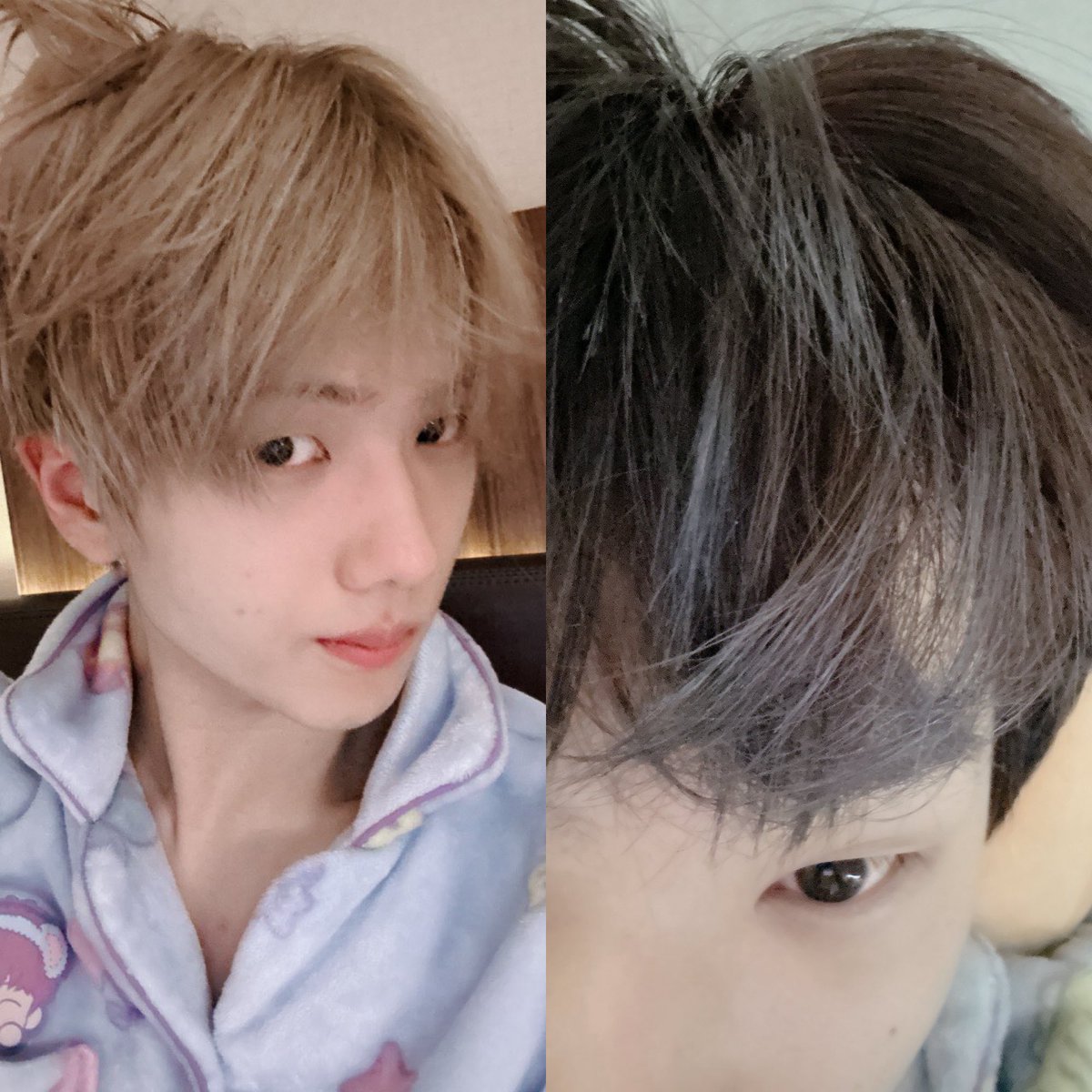 박백발 tweet media