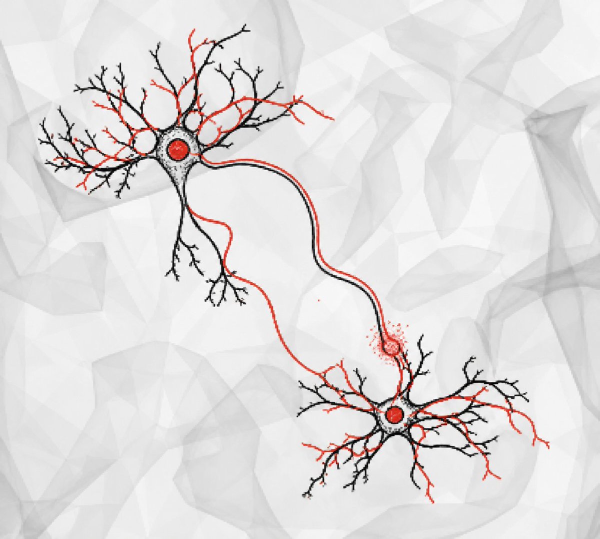 en_font's tweet photo. Just stories: The Pleasure of Rematching Neurons

“Maybe procrastination isn’t laziness—maybe it’s the brain choosing familiar pleasure over effort. Are we avoiding tasks… or just following the paths where our neurons already ‘match’?”

 https://t.co/OzzN5WWcMu https://t.co/0zsOK36Ew9