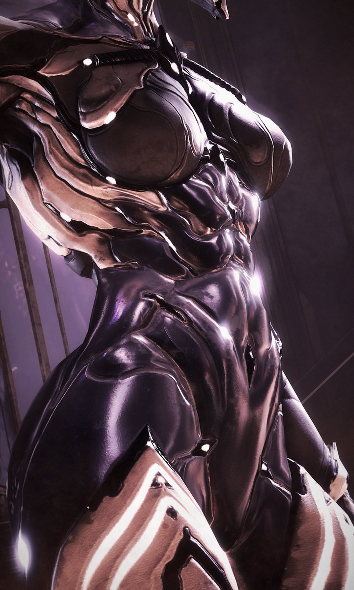 I'm pretty sure DE brought Michelangelo back from the dead just to sculp these abs
#Warframe