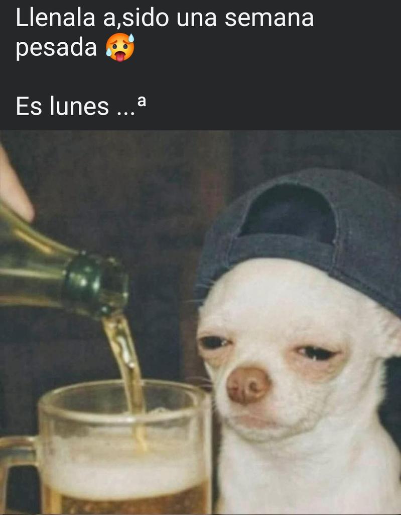 Edgar Rey Cuervo tweet media