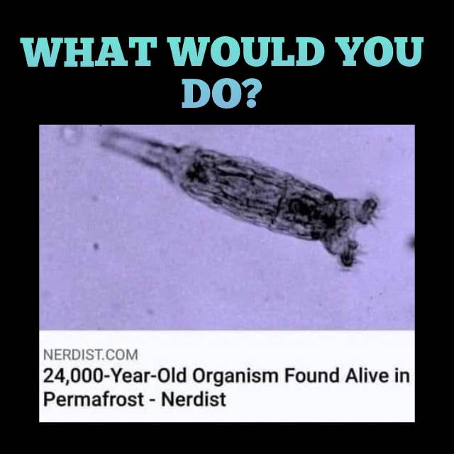 TheThingDB's tweet photo. What do you do? https://t.co/a3F3Hgk1tO