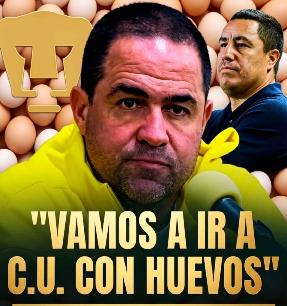 Gato de Tlalpan ®️ 🏆²⁰ tweet media