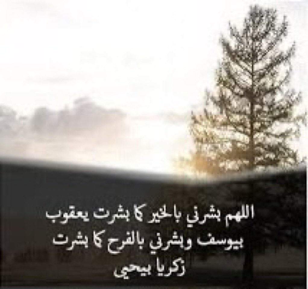 رائد الحربي tweet media