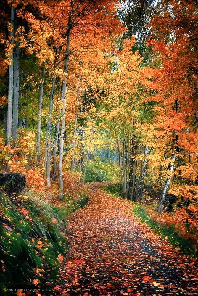 MariaMaryhala's tweet image. #Felizsemana 🌺🌿