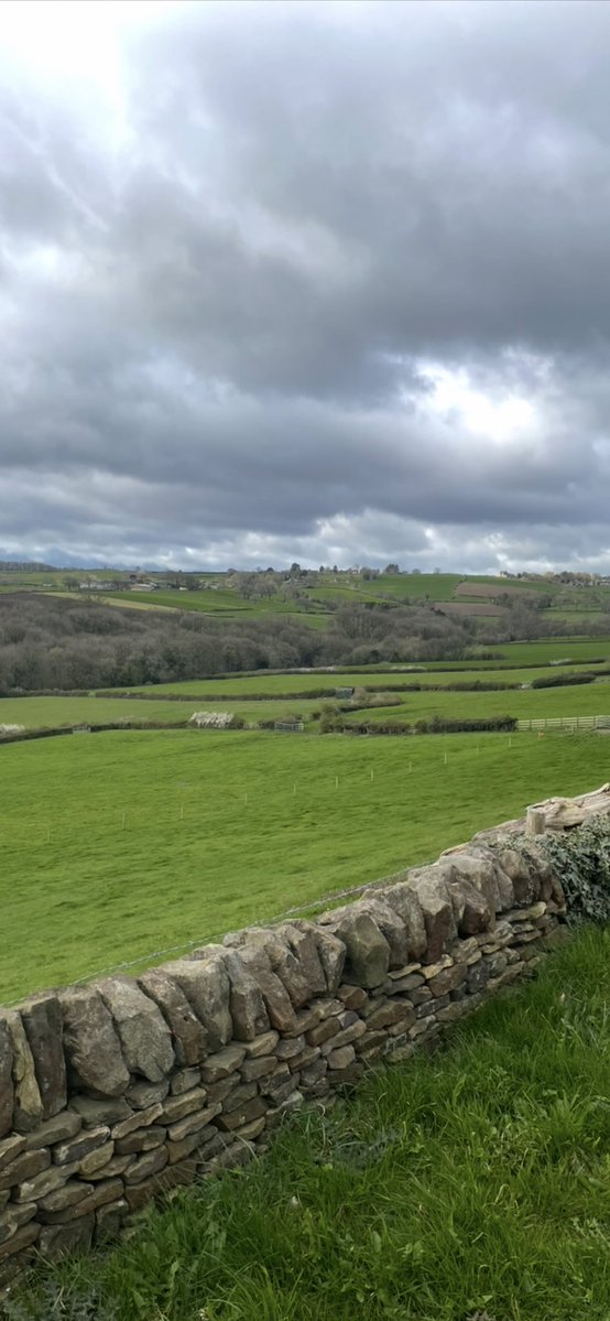 Andy6hutch's tweet image. Had a lovely Countryside walk today with the family…. You can’t beat The Great Outdoors!!!… 🥾🐾🐑 #NaturalWorld #CountrysideWalks
