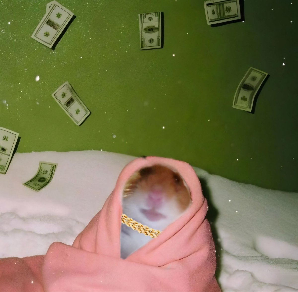 hamicoinsol's tweet photo. @lunoxcrypto @ryu8_24 That’s not very cash money of you https://t.co/3CnUde72UK