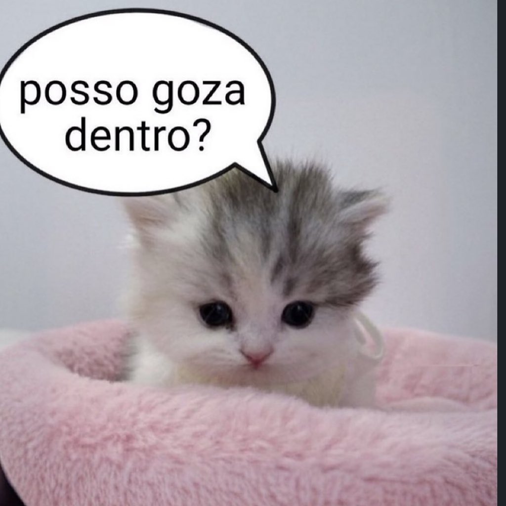 Shookito tweet media