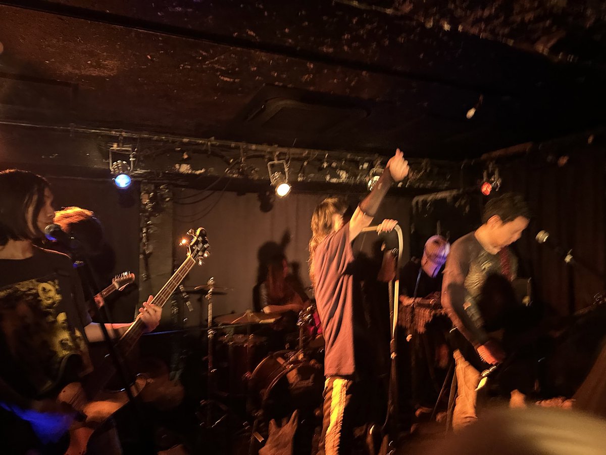 さかな tweet media