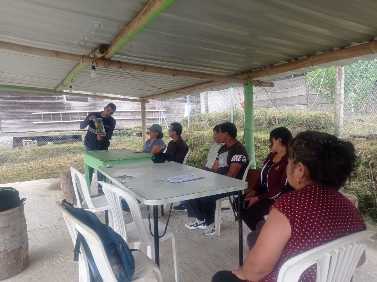AgrocalidadZ1's tweet photo. #Carchi | Capacitamos a productores de plátano del sector La Primavera, parroquia Jijón y Caamaño, en el Plan de Acción para el control de Ralstonia, con el objetivo de fortalecer el estatus fitosanitario de las musáceas.
#AgrocalidadCapacita https://t.co/WQujVvdUJr